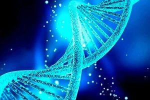 ¿Cómo ayuda la medicina cuántica a la salud y el bienestar?