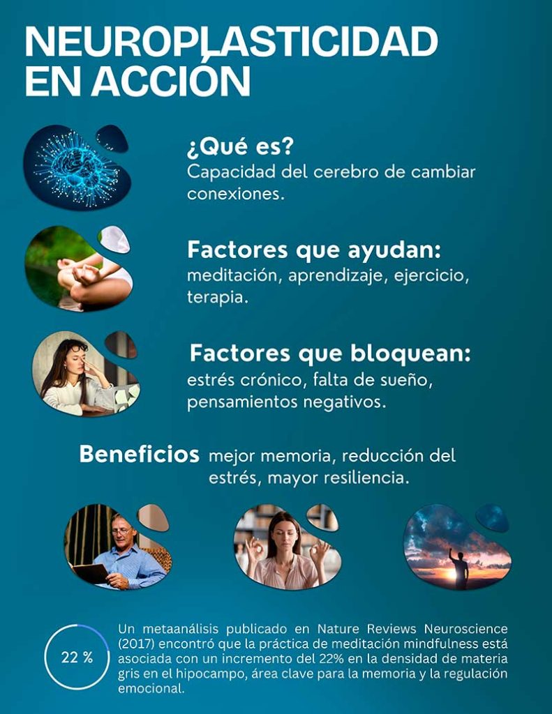 Neuroplasticidad: qué es, beneficios y recomendaciones