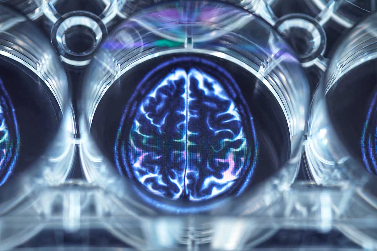 ¿Cómo integrar la medicina cuántica en tu vida?